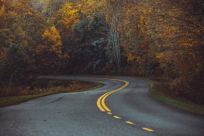 树林中间的锯齿形混凝土道路